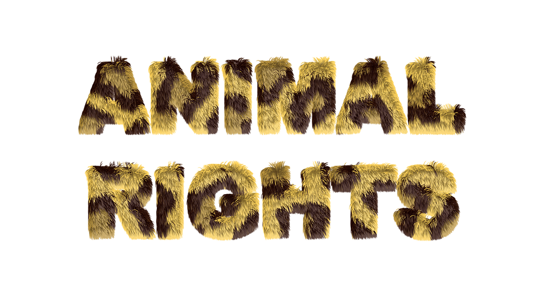 Animal Rights