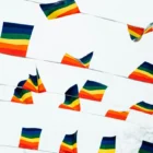 Pride Flags